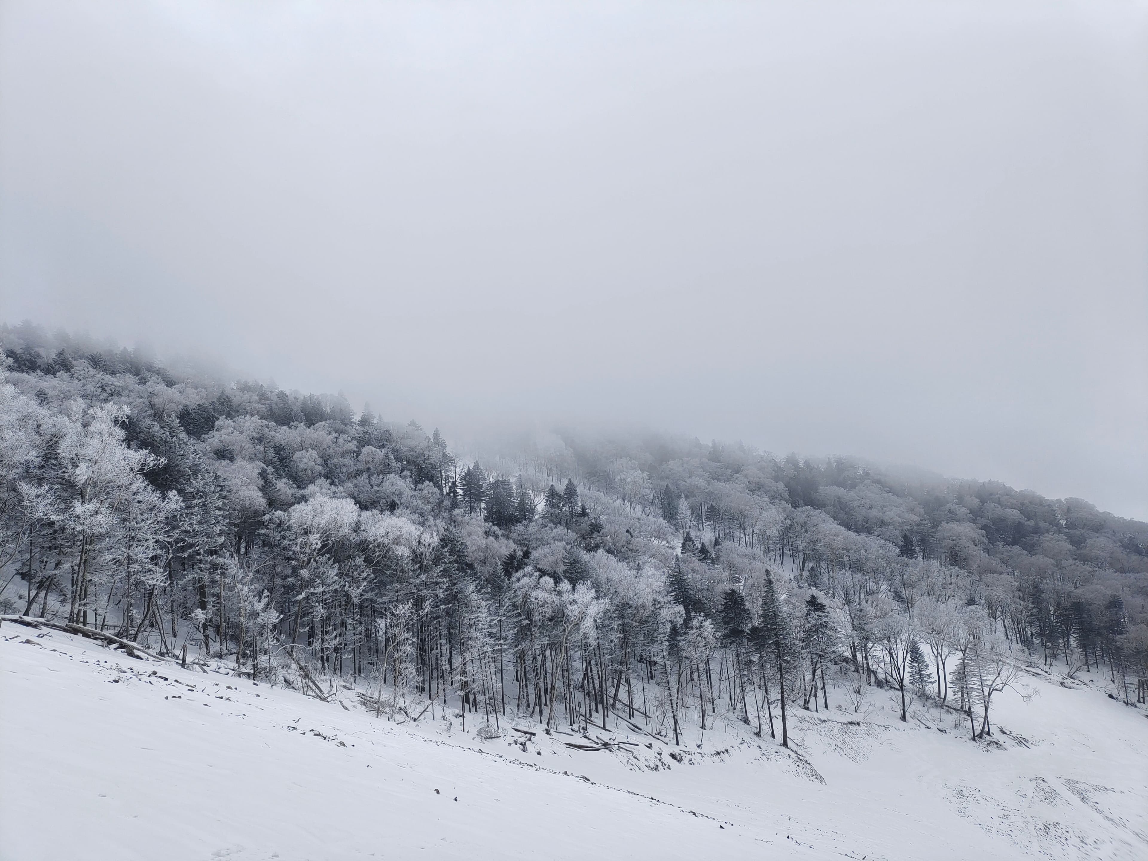 Winter’s Quiet Magic