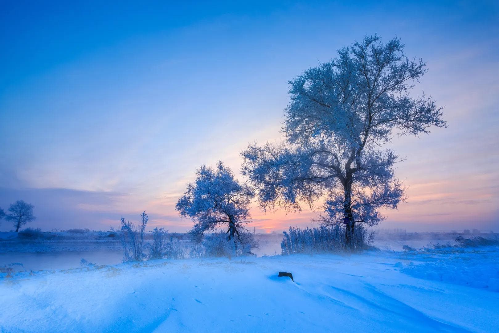 Winter landscape — 2