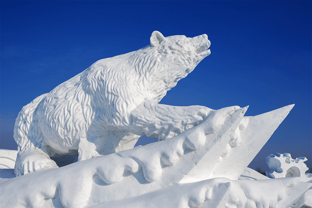 Ice & Snow World — 2