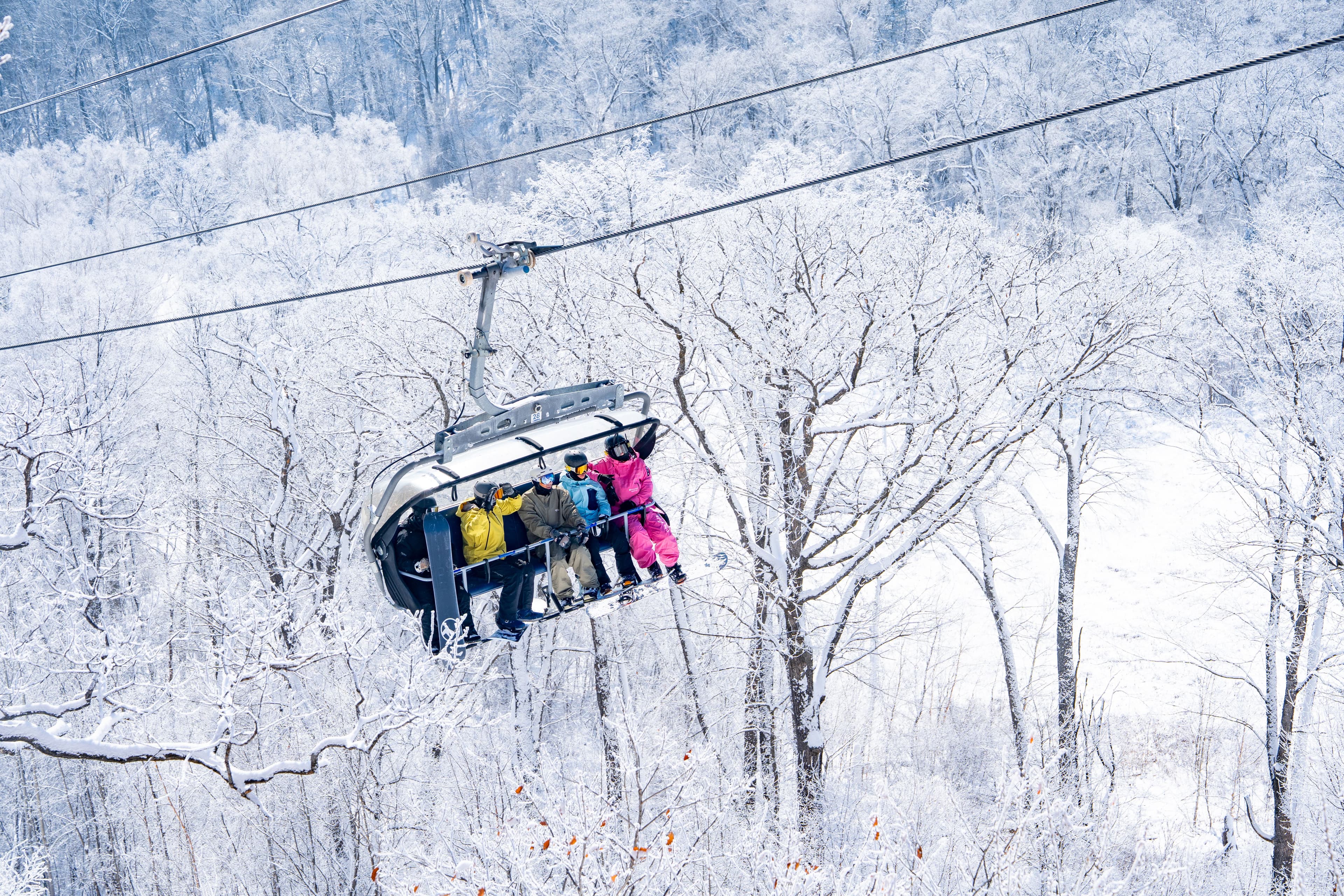 Advanced Skiing Experience