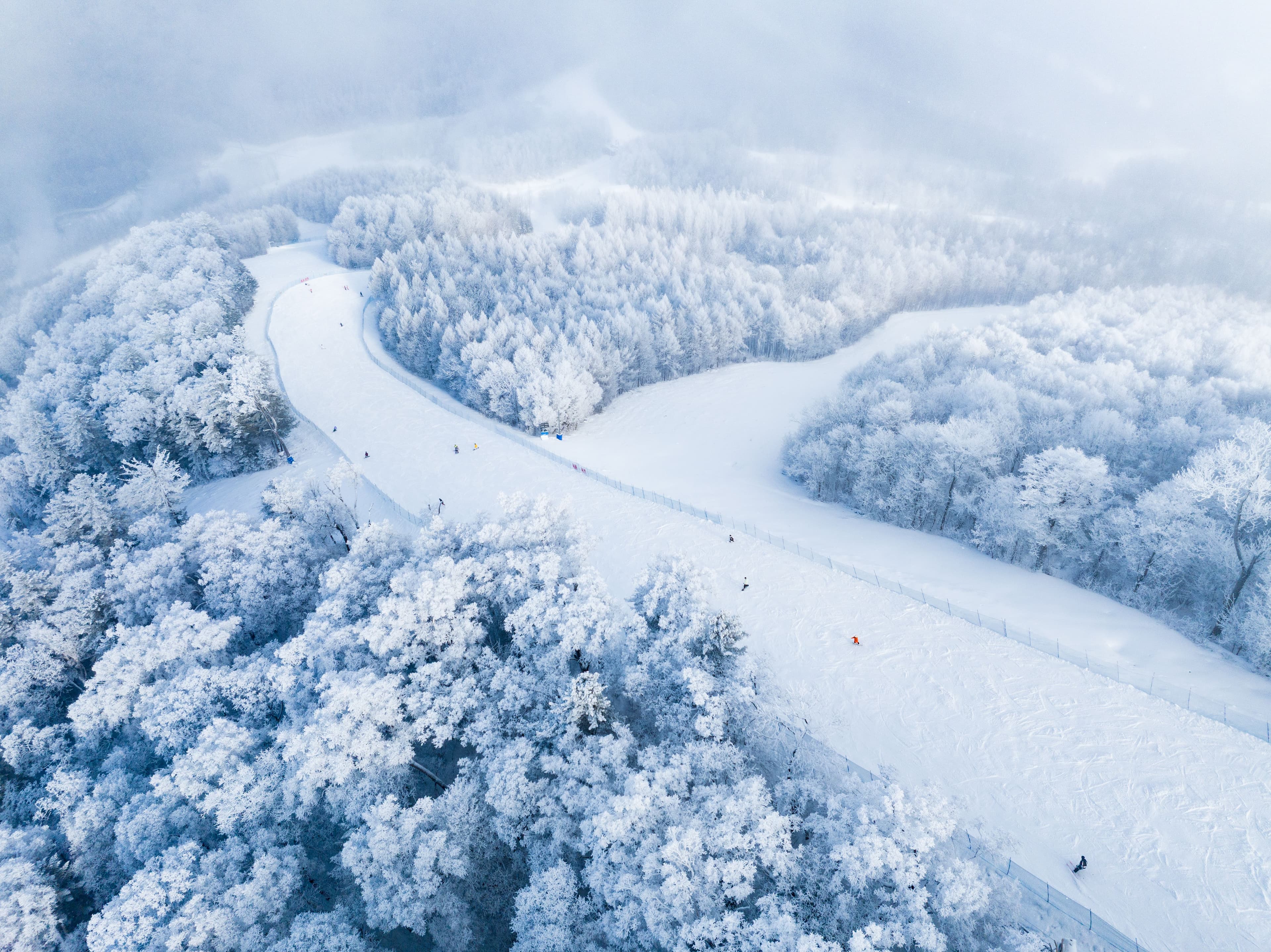 Advanced Skiing Experience — 3