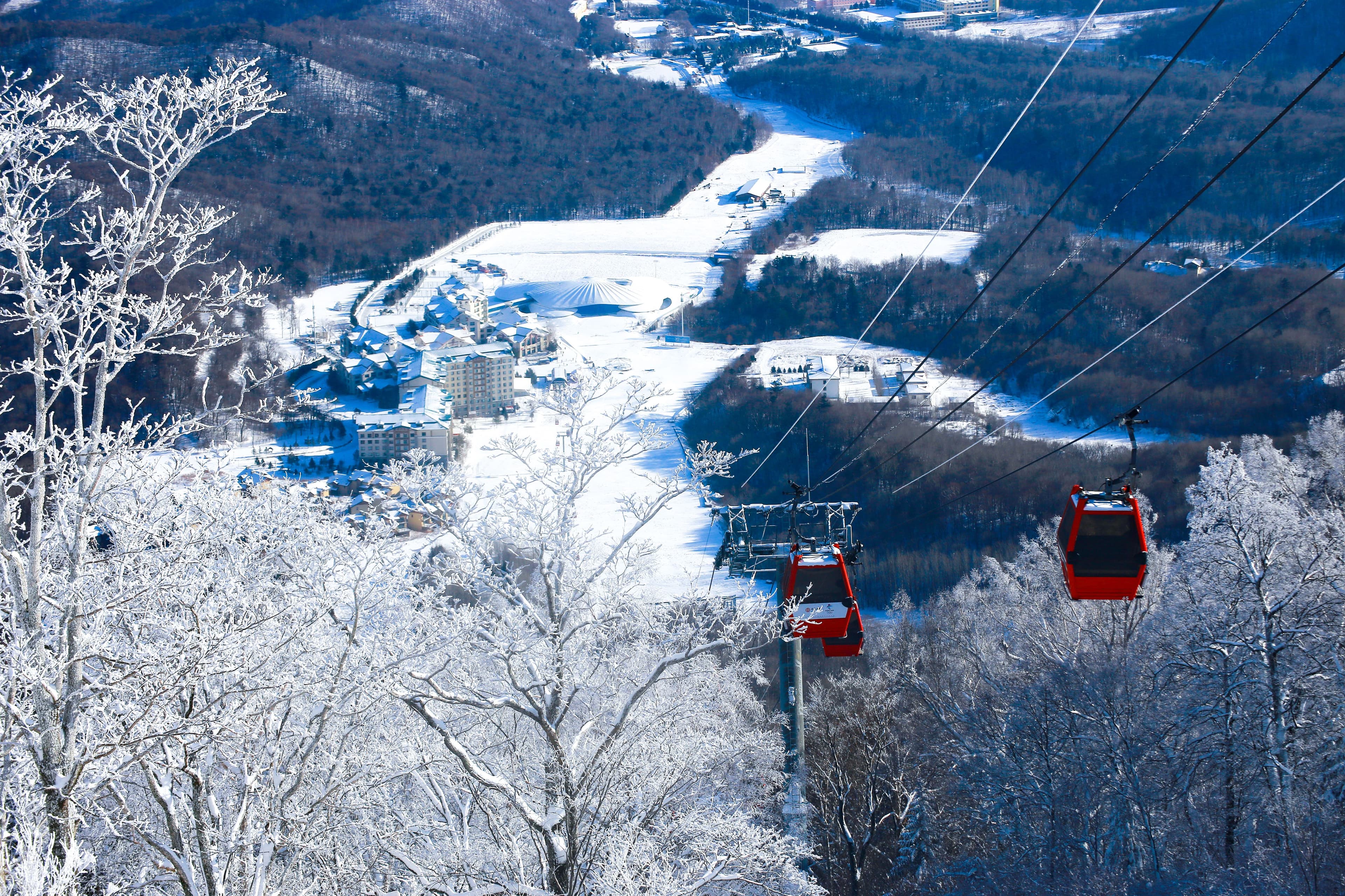 First Tracks
