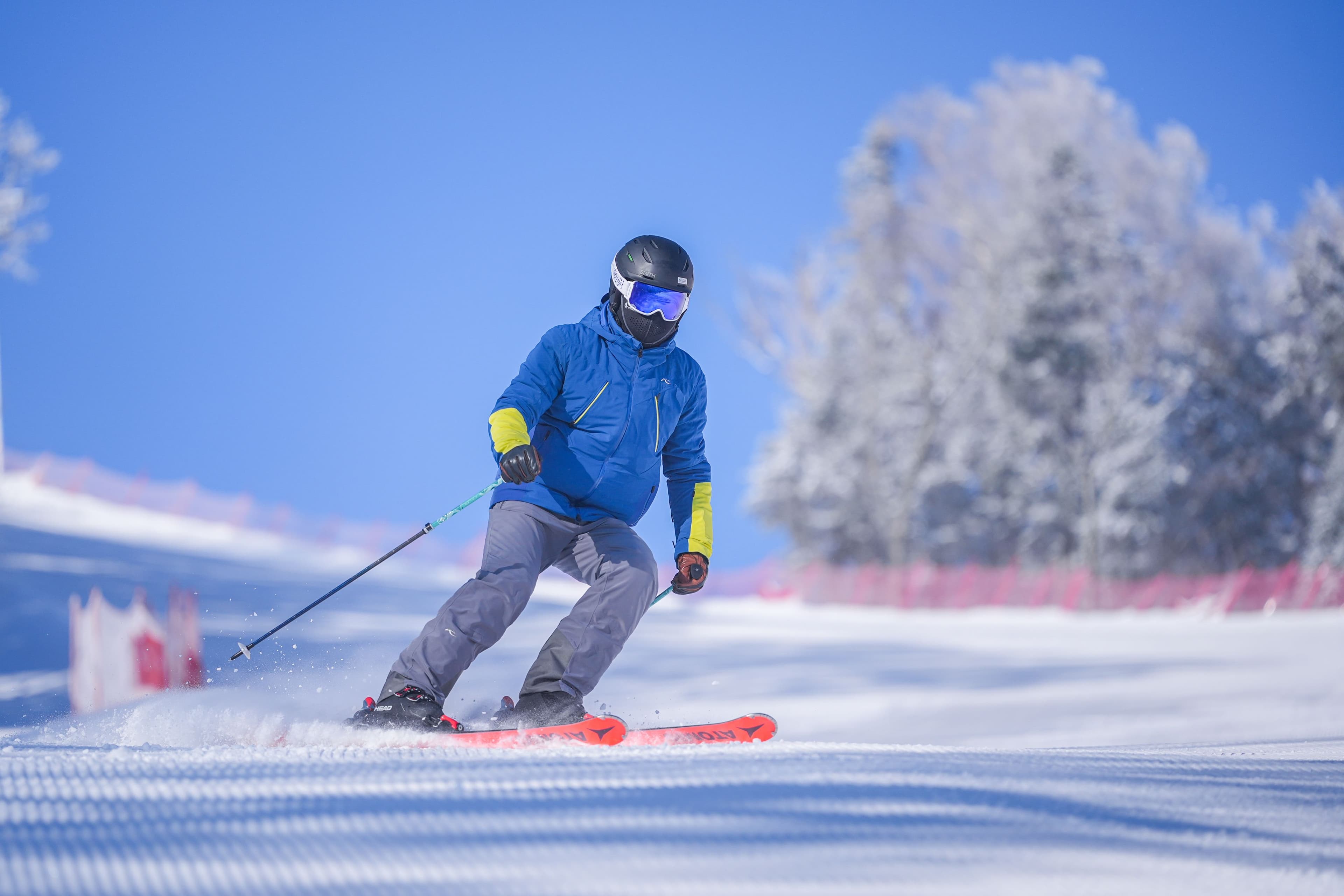 One x 3 hours Private Ski Lesson/Guide