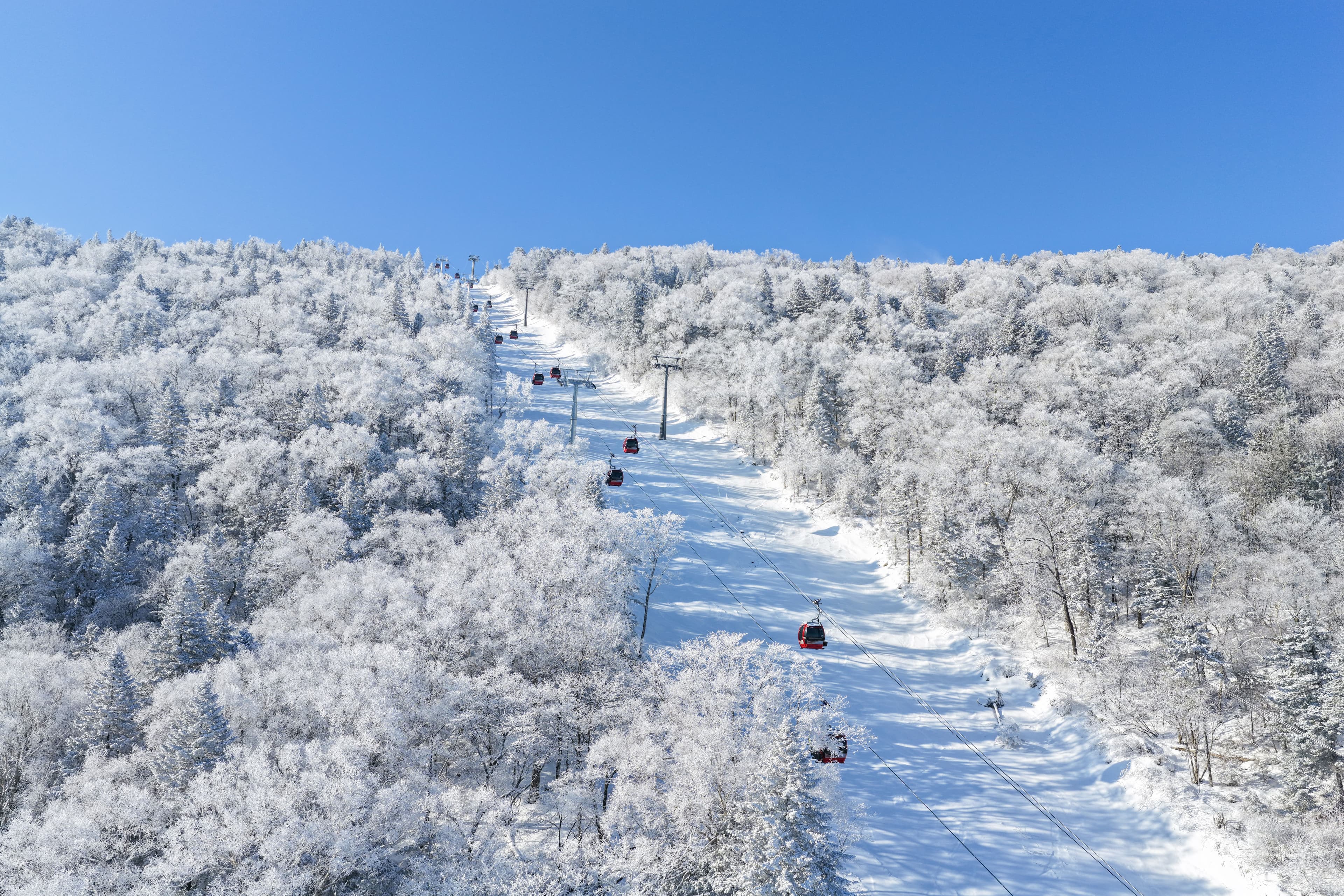 Skiers enjoying powder snow at Beidahu Ski Resort in China